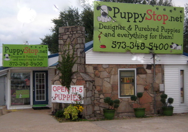 Puppy stop sales